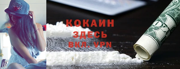 дживик Ельня