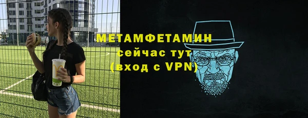 индика Елизово