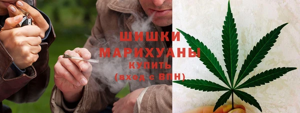прущий лед Дмитриев