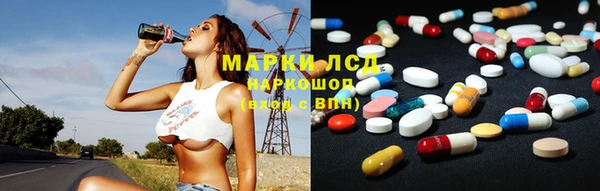 индика Елизово