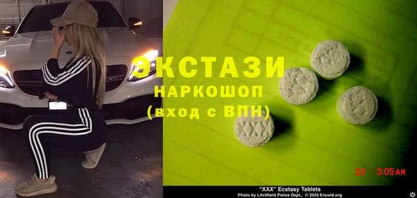 дживик Ельня