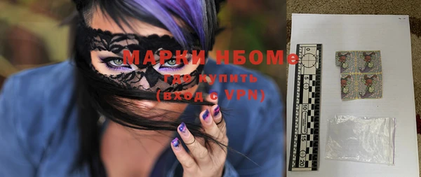 дживик Ельня