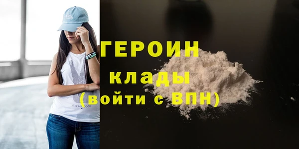 дживик Ельня
