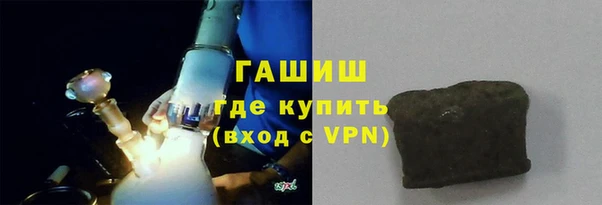 дживик Ельня