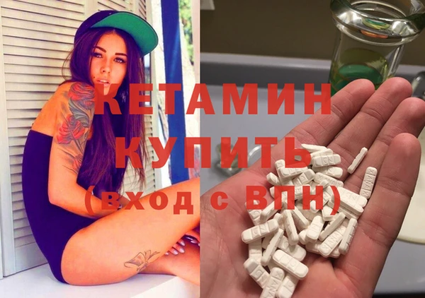 индика Елизово