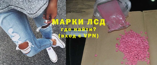 индика Елизово