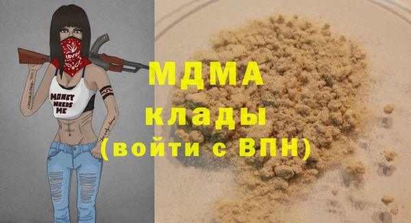 индика Елизово