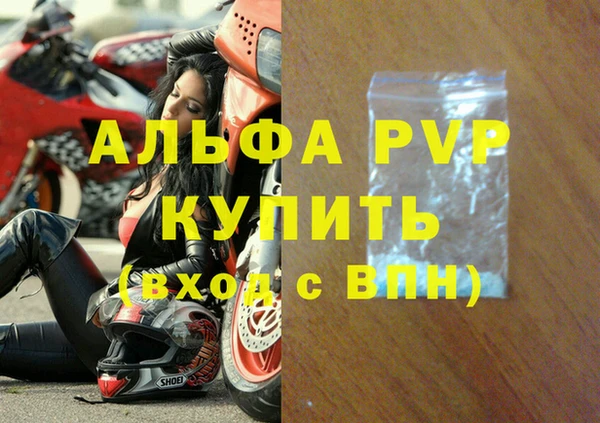 дживик Ельня
