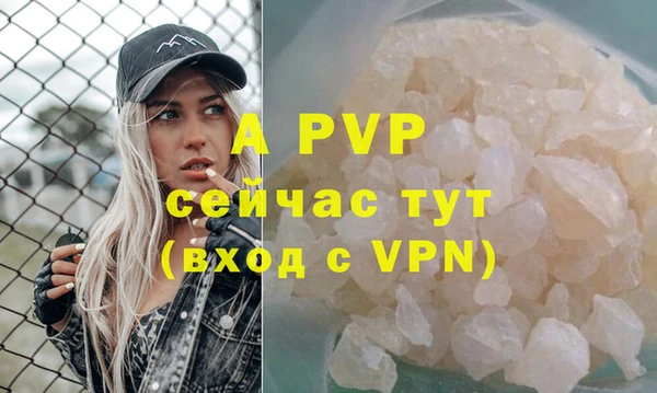 дживик Ельня