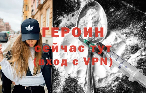 дживик Ельня