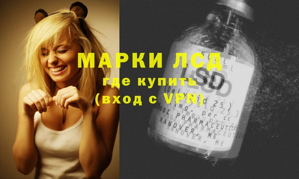 прущий лед Дмитриев
