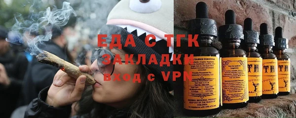 дживик Ельня
