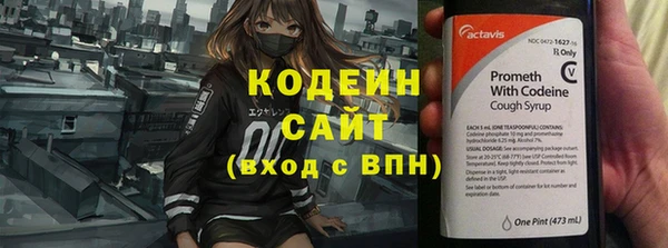 прущий лед Дмитриев