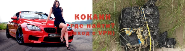 индика Елизово