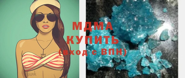 индика Елизово