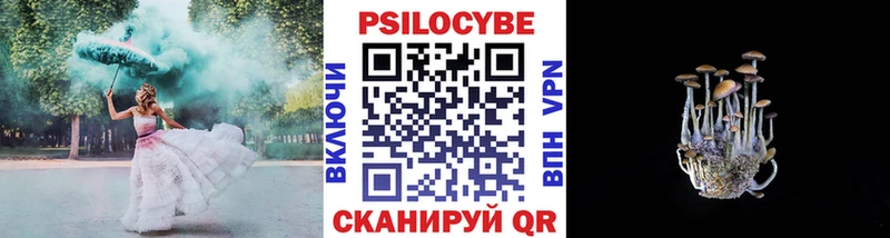 Псилоцибиновые грибы мицелий  магазин  наркотиков  KRAKEN зеркало  Ноябрьск 