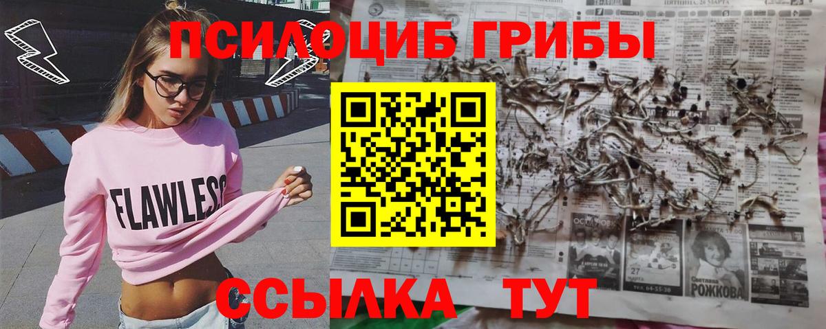 Псилоцибиновые грибы прущие грибы Ноябрьск