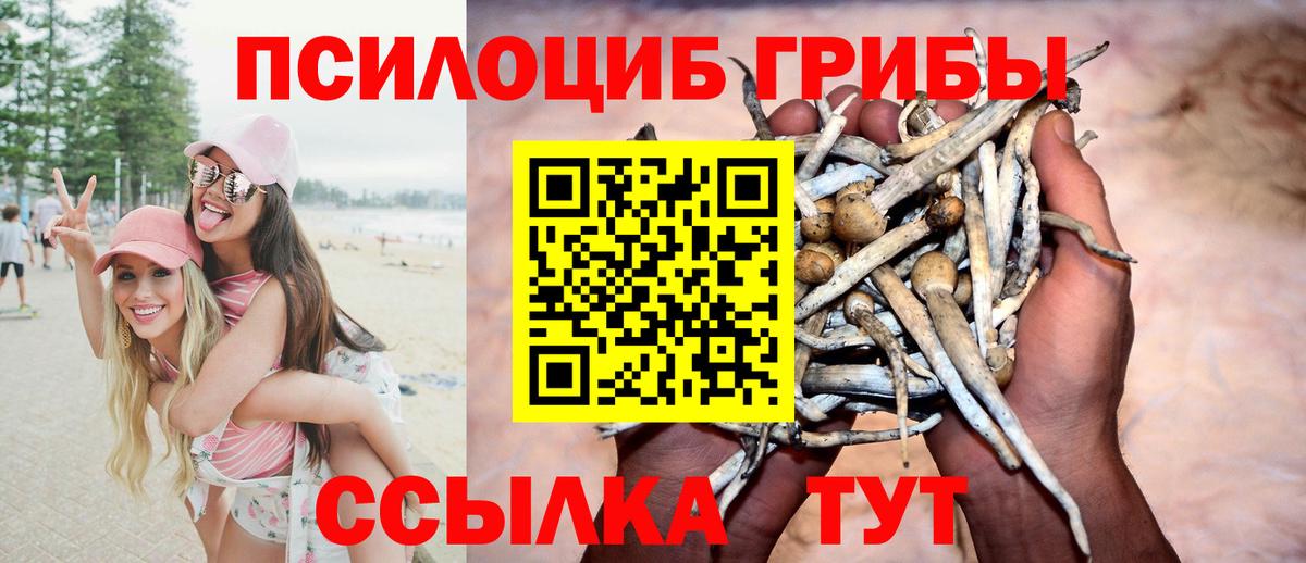Ноябрьск  Псилоцибиновые грибы Cubensis  Галлюциногенные грибы мухоморы  Вход с VPN 