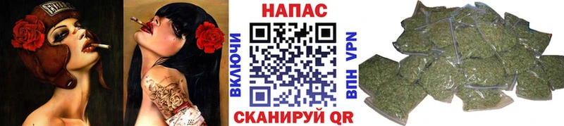 Шишки марихуана ГИДРОПОН  omg как зайти  Ноябрьск 